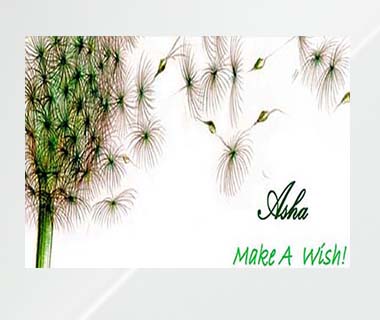 ASHA- MAKE A WISH PROGRAM